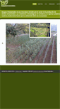Mobile Screenshot of bosquesornamentales.com